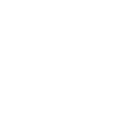 wp25331901.png