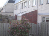 wpff2359ec_0f.jpg